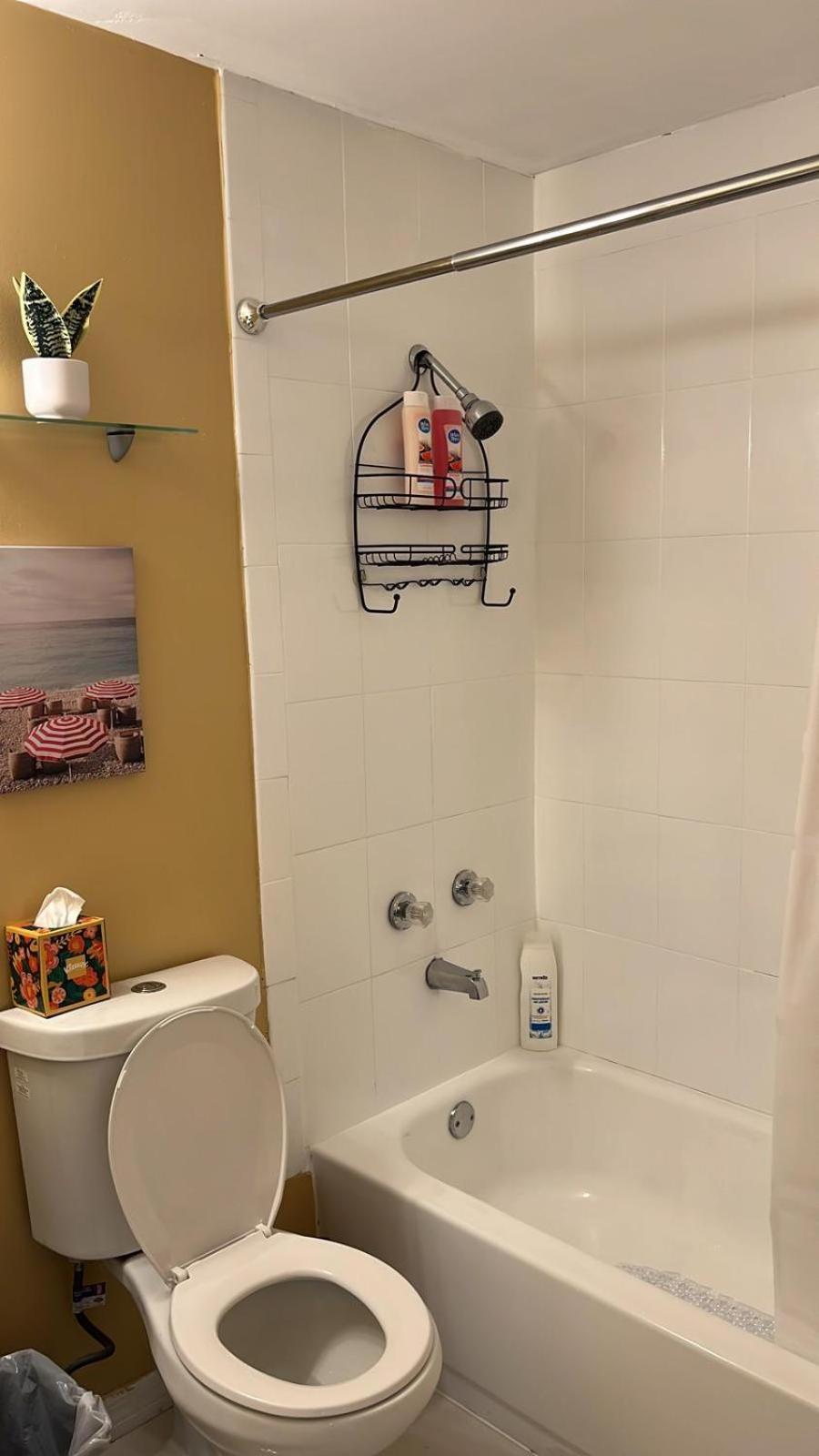 Beautiful, Fully Furnished 4Bed 2Bath House - 5 Minute Walk To Miracle Mile Downtown Coral Gables Villa Miami Eksteriør billede