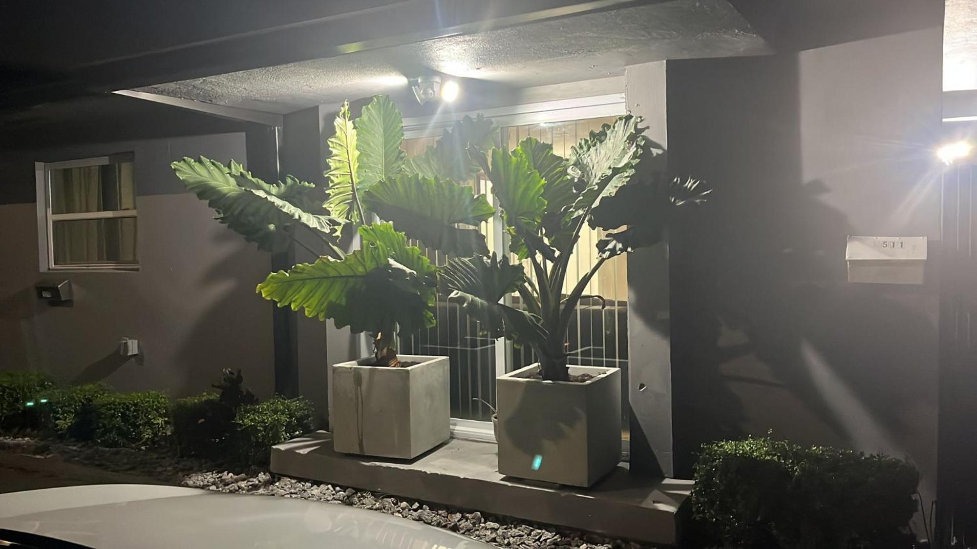 Beautiful, Fully Furnished 4Bed 2Bath House - 5 Minute Walk To Miracle Mile Downtown Coral Gables Villa Miami Eksteriør billede